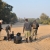 The South African Conservation Success Story